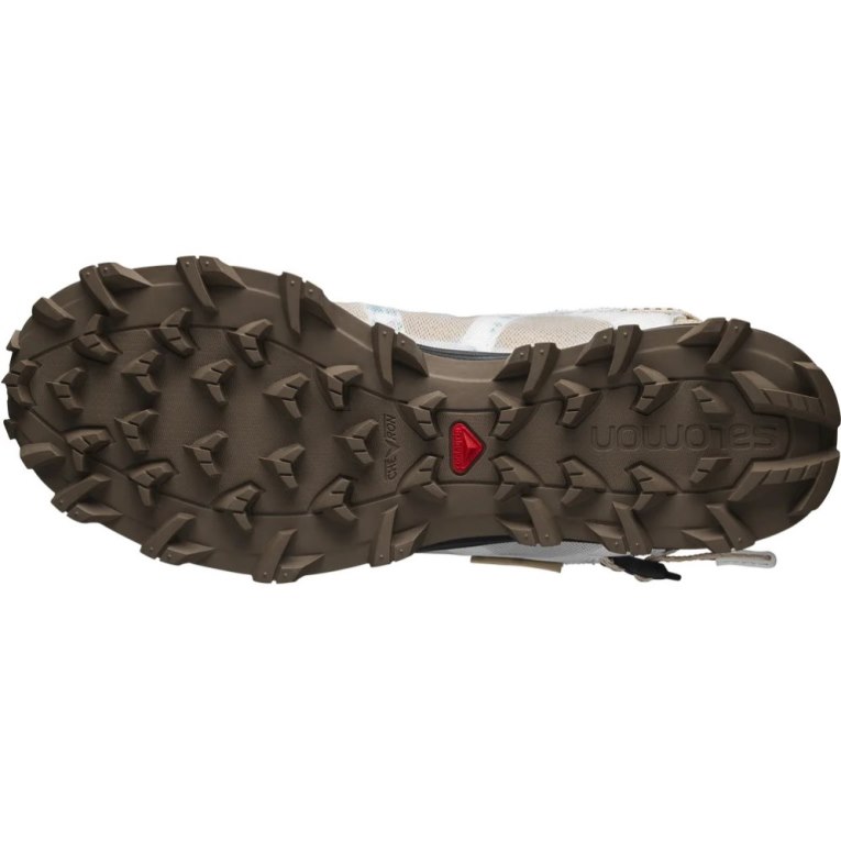 Tenis Salomon Techamphibian The Broken Arm Hombre Multicolor | MX RDPQ538